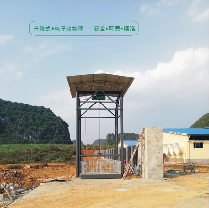 升降式電子動物秤（稱豬專用）
