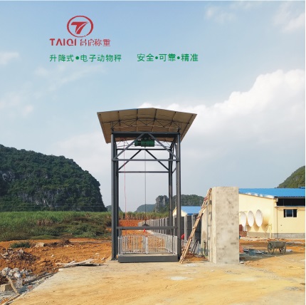 升降式電子動物秤